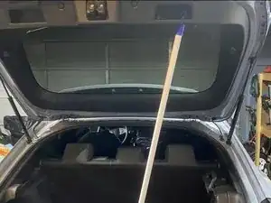 Trunk Strut