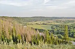 Landscape in Urzhumsky District