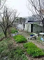 In Cheoncheon-ri, Hwaseong37°14′35″N 126°56′46″E﻿ / ﻿37.24306°N 126.94611°E﻿ / 37.24306; 126.94611