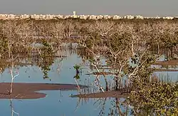 View of Al Khor Community from Purple Island