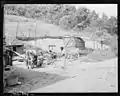 Backyard of home of Butler Phillips with family tending to farm animals, 1946