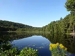 Björndammen from NE on August 15, 2020.