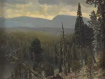 Boreal forest in the Ural mountains (1890)