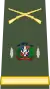 Lieutenant Colonel