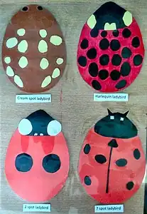 Card cutout ladybirds for children's nature trail on an Open Day