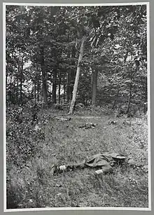 "Confederate dead on Matthews Hill, Bull Run", Brady Handy Collection