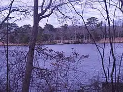 Image of Dirickson Creek