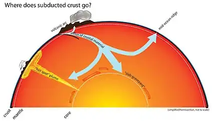 Movement of oceanic plates—which carry carbon compounds—through the mantle