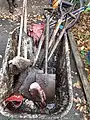 Wheelbarrow and tools after a morning's work in wet woodland