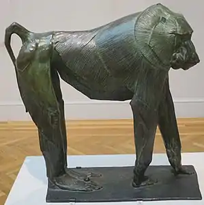 "Hamadryas baboon", circa 1910 (California Palace of the Legion of Honor)