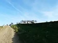 Towards the top of Hacking Knife.