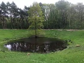 Crater of the 1917 deep mine fired at Caterpillar