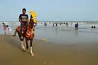 Horse riding