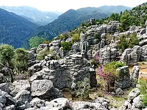 Köprülü Canyon National Park