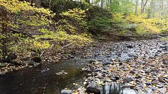 Keen's Mill Brook on the Grist Mill Trail