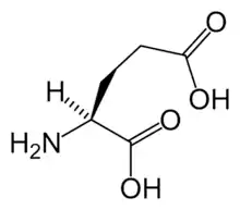 L-Glutamic acid(Glu / E)