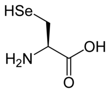 L-Selenocysteine(Sec / U)