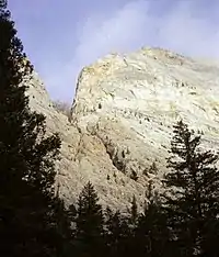 White limestone cliff with trees in the foreground