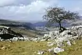 Littondale (North Yorkshire). View from near the Hawkswick to Malham footpath.