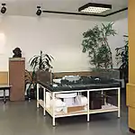 Underground Event, 1997Glaskasten Sculpture Museum, Marl Collection