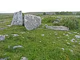 The partially collapsed northern wedge tomb