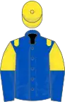 Royal blue, yellow epaulets, yellow and royal blue halved sleeves, yellow cap
