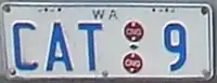 CAT bus plate (OC 500 LE CNGs of Perth CAT)