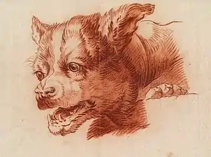 Head of a Dog (1805–06), chalk & lead, 29.5 x 35.9 cm.