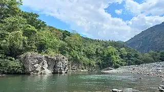 An outcrop of the Dalupirip schist covered with vegetation, exposed along the Agno riverside, Dalupirip, Itogon, Benguet. A jutted outcrop shows distinct deformation in the schist.