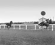 1932 Caulfield Cup finish showing the winner, Rogilla