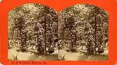 Rose Hill Cemetery, Confederate section, circa 1877