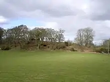 Buckland Rings viewed from the south