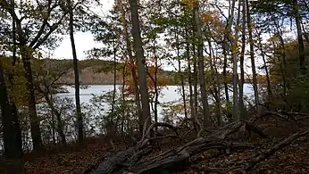Swartswood Lake seen from the Grist Mill Trail