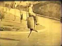 Grey travelling by kangaroo