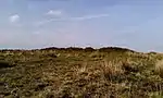 Bowl barrow and round cairn on Withypool Hill, 850 m and 820 m east of Portford Bridge