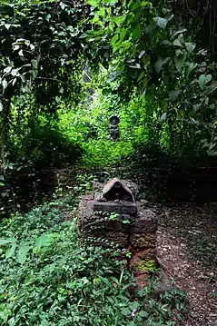 Front view of the serpent grove