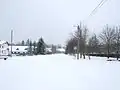 Winter panorama