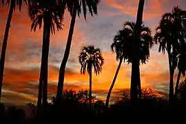 El Palmar National Park