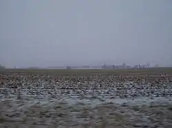 Snow-covered countryside in Jackson Township