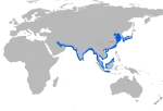 Narrow-ridged finless porpoise range (red color)