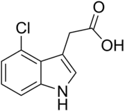 Skeletal structure diagram