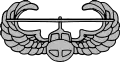 Air Assault Badge