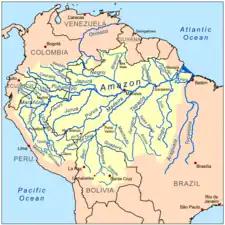 The basin of the Amazon River is a system made up of many tributary streams. The streams shown on the map besides the Amazon are tributaries of the Amazon.