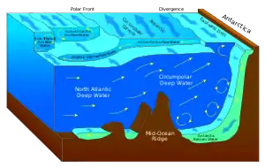 Antarctic bottom water