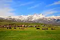 A view of Mount Aragats from Aragatsotn – Armenia