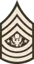Sergeant Major of the Army