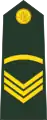 Sergeant(Bengali: সার্জেন্ট, romanized: Sārjēnṭa)(Bangladesh Army)