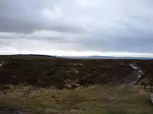 Dark coloured moorland stretching into the distance with grass in the foreground