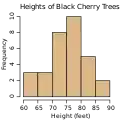 Histogram