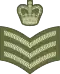 Staff Sergeant